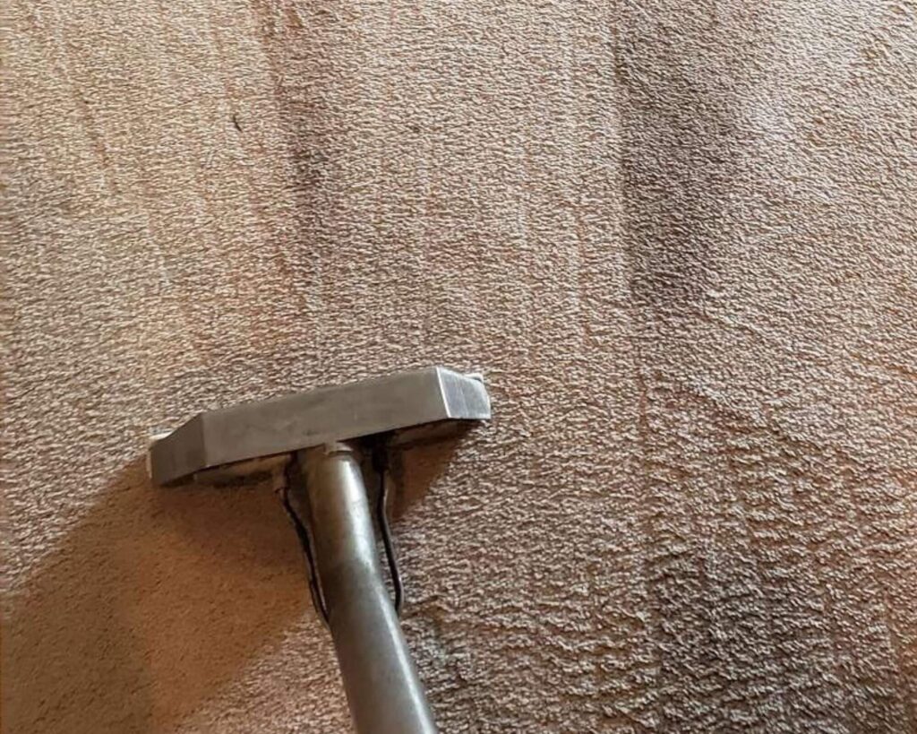Residential Carpet Cleaning